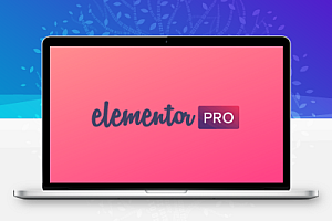 WordPress页面构建器Elementor v3.2.4 + Elementor Pro 最新免激活破解版 v3.2.0